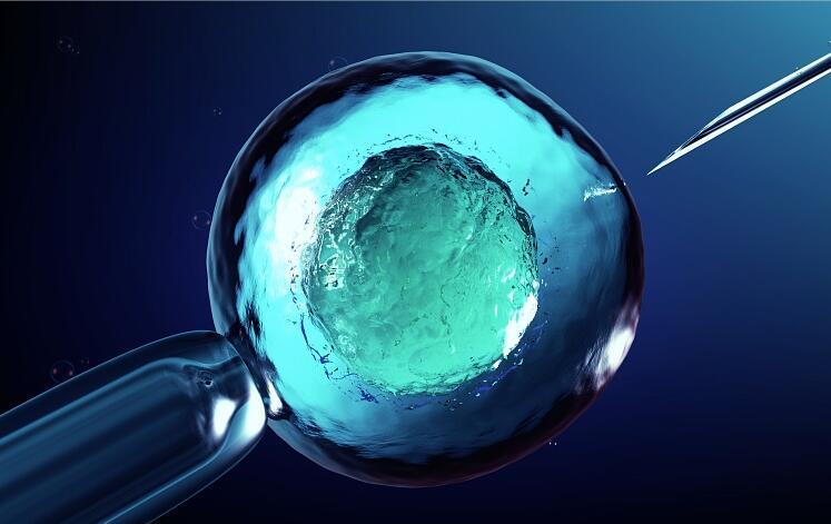如果我选择自然周期做试管婴儿，卵巢是否会受到损害？