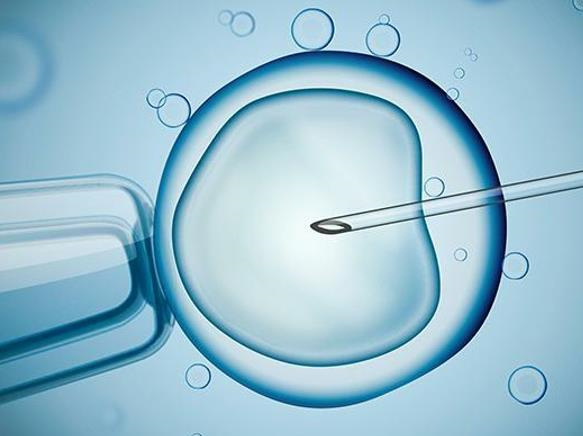 徐州供卵机构生子流程-解释了试管婴儿中双胞胎的条件。